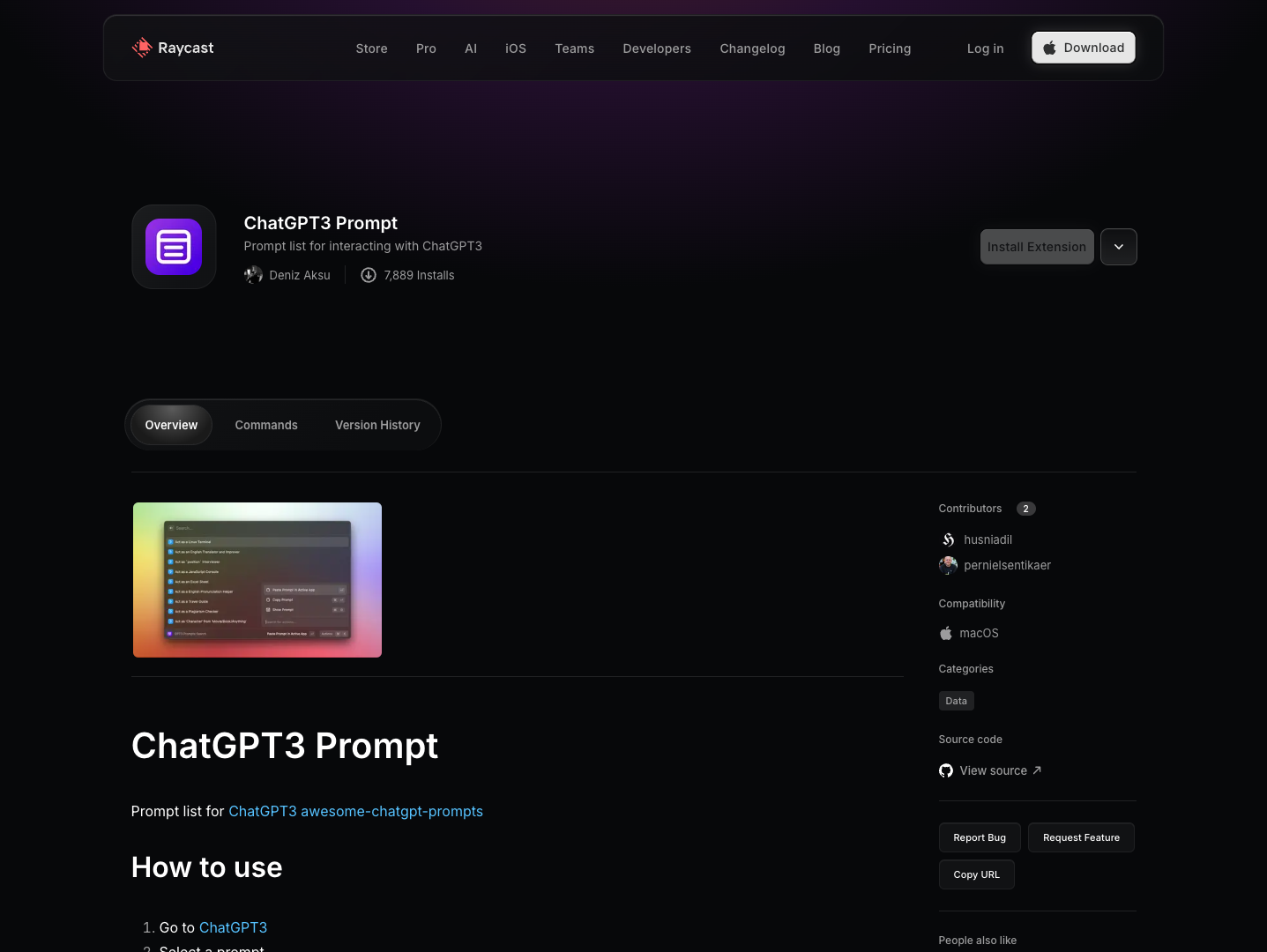 ChatGPT3 Prompt screenshot