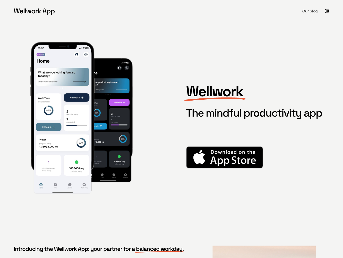Wellwork screenshot