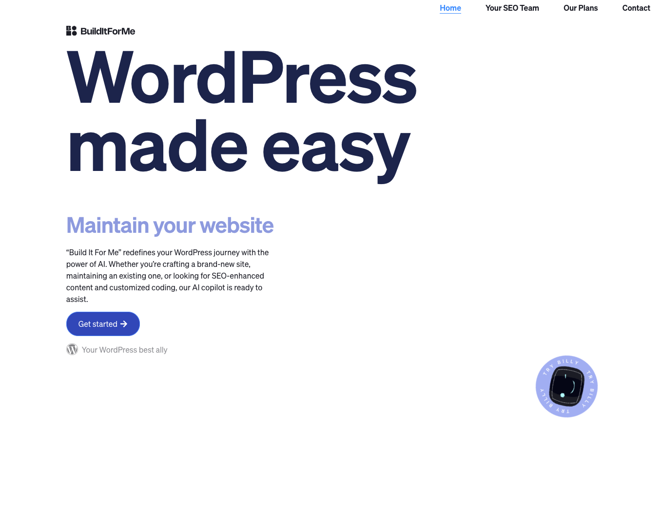 WordPress Copilot – Build It For Me screenshot
