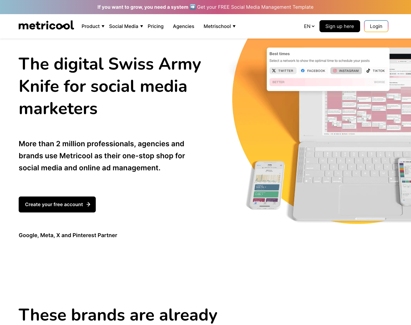 Metricool screenshot