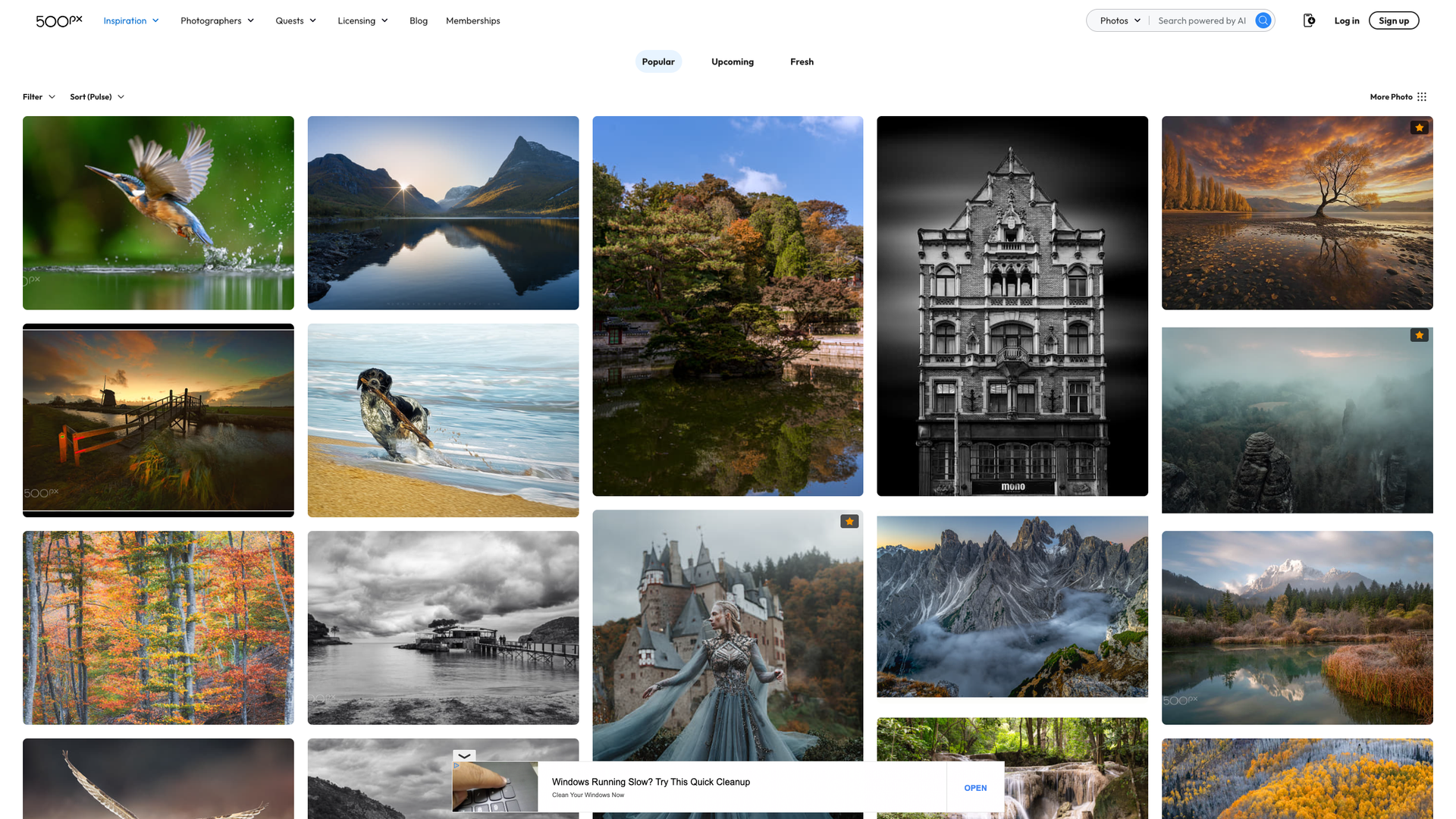 500px Popular Photos screenshot