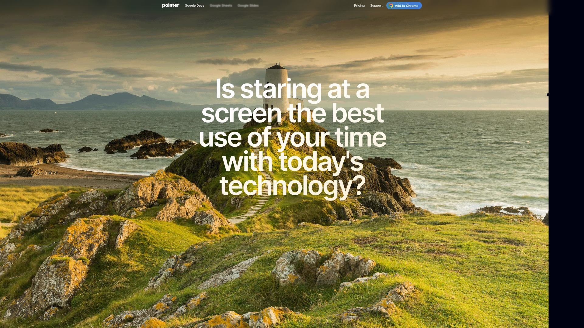 Pointer AI screenshot