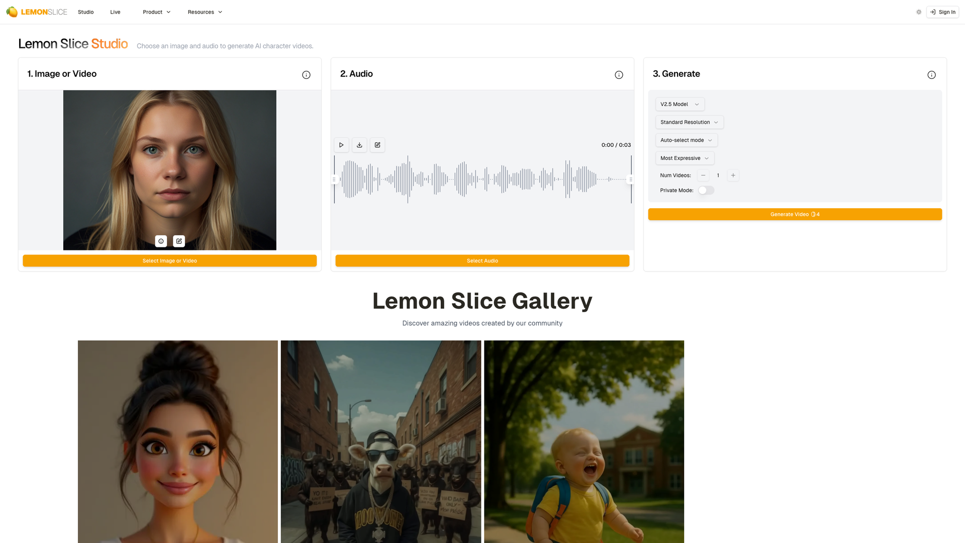Lemon Slice Studio screenshot