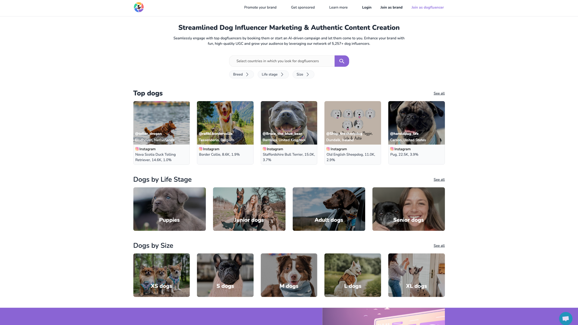 Dogfluence screenshot
